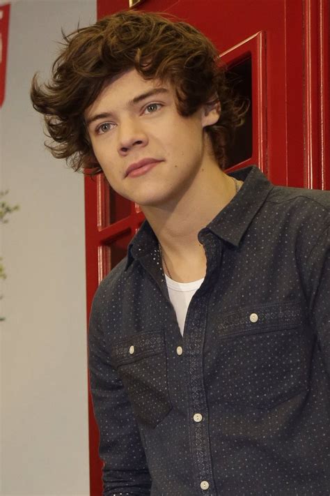 Harry Styles cumple 19 años