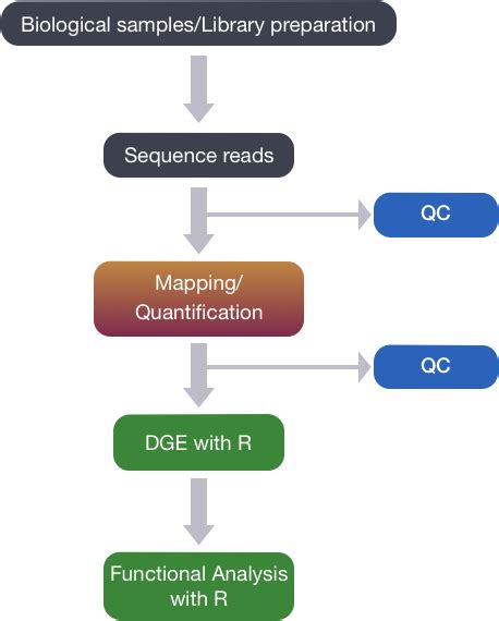 21 RNAseq Diferential Exploratory Analysis RNA Genomics