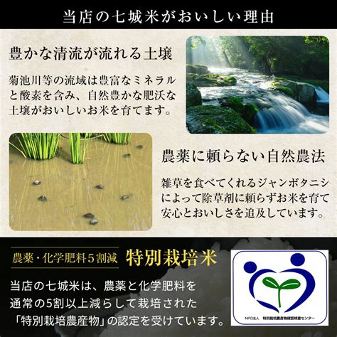 【楽天市場】米 30kg 送料無料 ヒノヒカリ【減農薬 米】3年産米 熊本県産こだわり七城米（菊池米ヒノヒカリ） 玄米30kg10kg×3袋