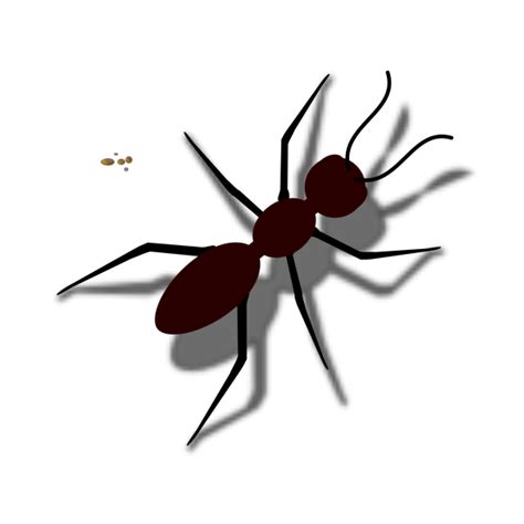 Download Free Ant Red Hd Image Free Icon Favicon Freepngimg