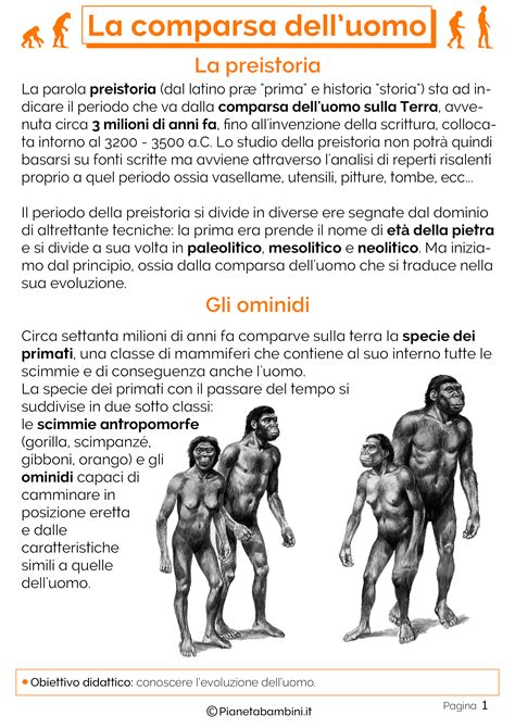 Schede Didattiche Sulla Comparsa Dell Uomo Sulla Terra Per La Scuola