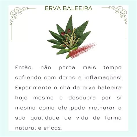 Kit Ch De Erva Baleeira Folhas Pura Cordia Verbenacea R Em