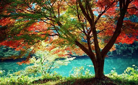 October Scenery Wallpapers - 4k, HD October Scenery Backgrounds on ...