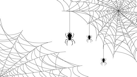 Premium Vector Spiders On Web With White Background Halloween