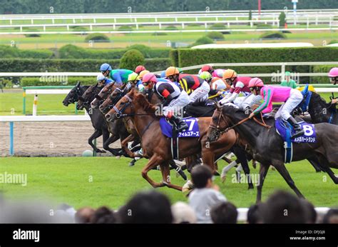 Horses At Kyoto Racecourse In Japan Stock Photo Alamy