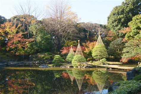 旧古河庭園 「紅葉とバラ、和と洋の秋」｜東京都