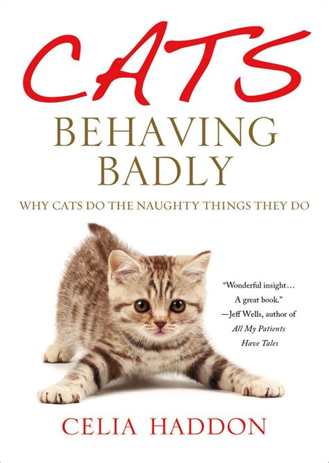 Cats Behaving Badly Why Cats Do The Naughty Things They Do Haddon