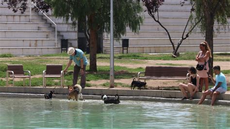 Protecci Civil Activa En Alerta El Pla Procicat Per Calor