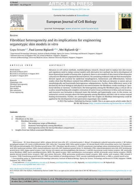 (PDF) Fibroblast heterogeneity and its implications for engineering ... 