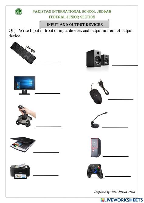 Input Output Devices Worksheet