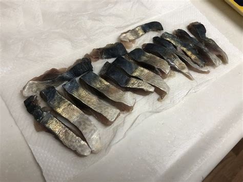 釣り餌｜サバの切り身の作り方・付け方！鯖は安くて長持ちの万能エサ サバ 釣り餌 アイナメ