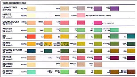 Color Chart For Urine Dip