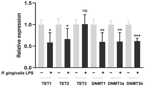 Cells Free Full Text Porphyromonas Gingivalis Derived