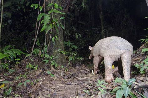 I Took My Camera To The Most Biodiverse Place On Earth Nature Ttl