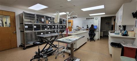 Animal Hospital In Kirkwood at Page Koenig blog