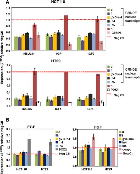 Figure 2 From CRNDE A Long Non Coding RNA Responsive To Insulin IGF