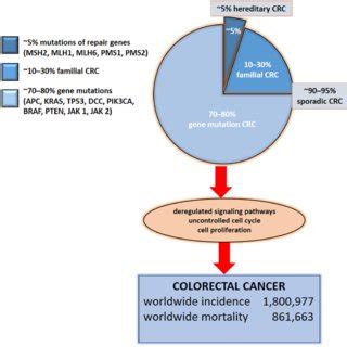 Molecular Basis Of Crc Colorectal Cancer Is Based On Gene Mutations