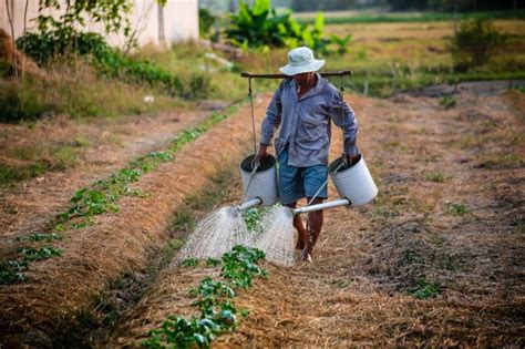 Habibi Garden Startup Asal Indonesia Di Bidang Pertanian Yang Mendunia