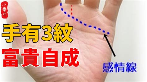 手有3紋，富貴自成！手掌象征富貴與榮華的「三奇紋」你有嗎？ Youtube