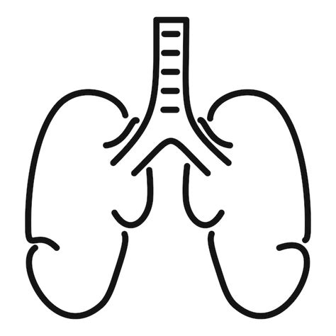 Premium Vector Healthy Lungs Icon Outline Healthy Lungs Vector Icon