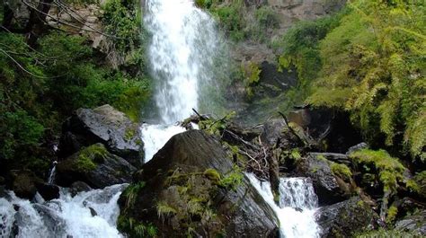 La Unesco Declaró Al Parque Nacional Los Alerces Patrimonio Mundial Tn