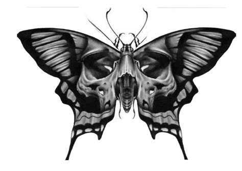 Pin By Tom Wolf On Wild Tiere Skull Butterfly Tattoo Butterfly