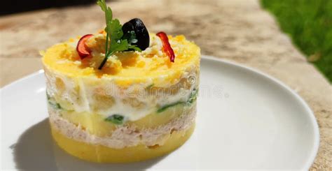 Causa Typical Peruvian Food Dish Stock Photo - Image of corn, main: 194050272