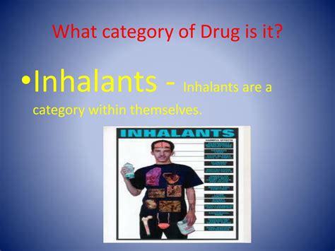 PPT - Inhalants PowerPoint Presentation, free download - ID:2299365