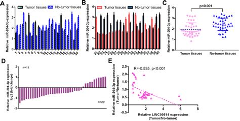 Linc Promotes Gastric Cancer Cell Growth And Emt Progression Via