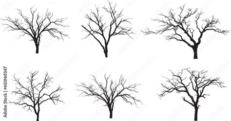 Naked Tree Branches Set Dead Tree Silhouettes Set Tree Branches Without Leaves Naked Trees
