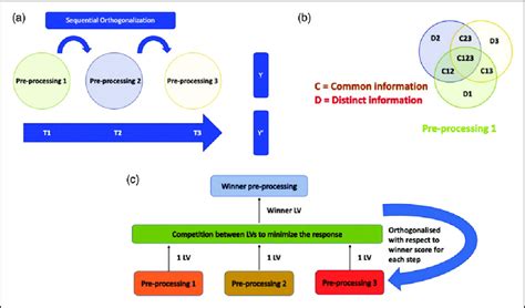 Schematic Of Different Pre Processing Ensemble Approaches A