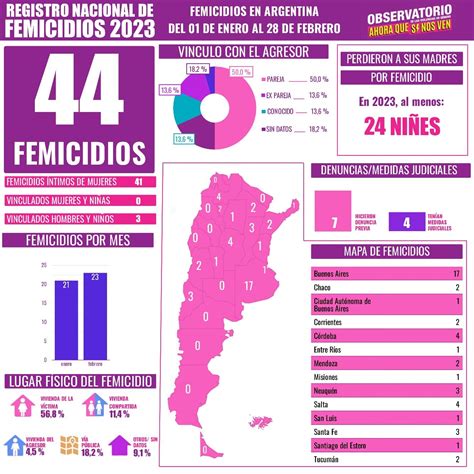 AHORA QUE SI NOS VEN Informes 44 FEMICIDIOS En 2023