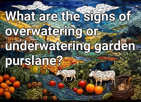 What Are The Signs Of Overwatering Or Underwatering Garden Purslane Agriculture Gov Capital