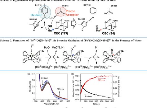 Figure 1 From Effects Of Proton Acceptors On Formation Of A Non Heme