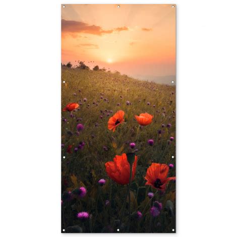 Poster D Ext Rieur Champ De Fleurs Herbe Plantes Coucher De