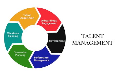 Talent Management Definition Types And Importance Notes Learning