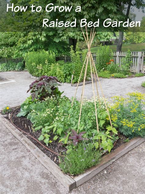 How To Start A Raised Bed Garden For Your Veggies How Was Your Day