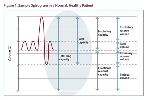 Pulmonary Function Tests Pft Lesson An Introduction 53 Off