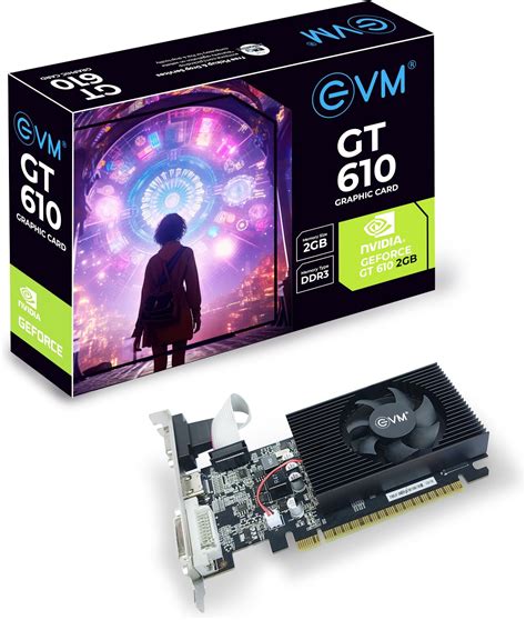Amazon.in: Buy EVM 2GB Nvidia GeForce GT610 Graphics Card - DDR3 - VGA ...