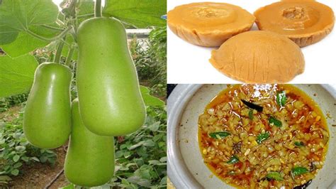 Bellam sorakaya curry|sorakaya curry|bottle gourd curry recipe in 2022 ...