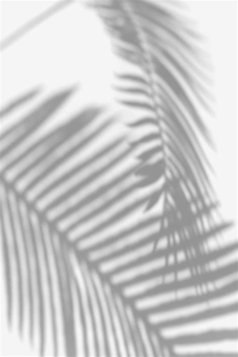 Shadow Of Palm Leaves Design Element Premium Image By Rawpixel