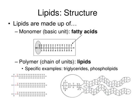 Download free structure of lipids - ffopsmart