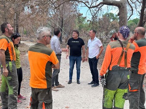 Riba Roja Dissenya El Plan Centinela Contra Els Incendis Al Parc Del