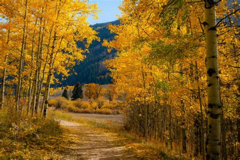 Colorado Fall Foliage Hikes | Devil's Thumb Ranch Resort & Spa