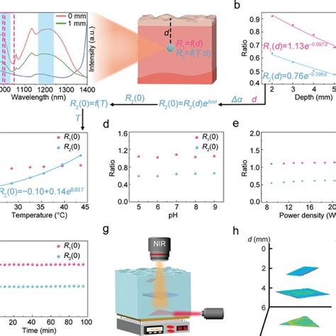 A Schematic Illustration Of Biased Ratiometric Readout Caused By