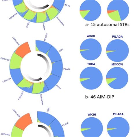 Graphical Representation Of Admixture Analysis By Structure Software