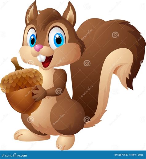 Carton Squirrel Holding Acorn Stock Vector Illustration Of Nature