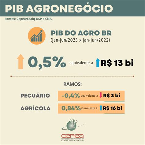 Qual Foi O Desempenho Do Pib Do Setor Agropecuário No Segundo Trimestre