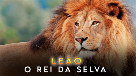 Rei Da Savana A Fascinante Vida Dos Le Es Selvagens Curiosidade