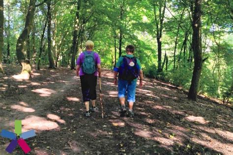 Pilgern Vor Der Haust R Nachrichten Ev Luth Kirchenkreis L Beck